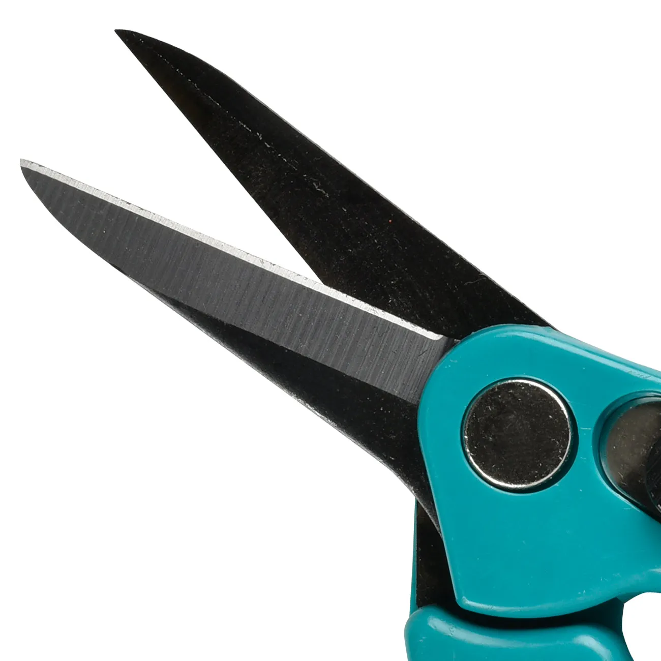 Supersharp Footrot Shear
